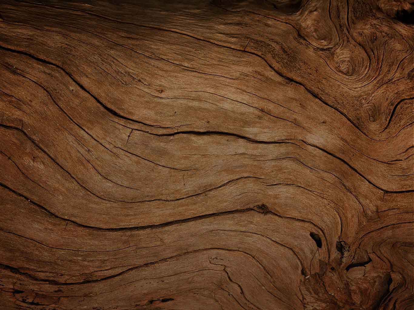 Mikasa - Wooden Flooring Company India